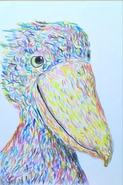 ハシビロコウ。色鉛筆画。手描きイラスト。現代アート。鳥。ハガキ。