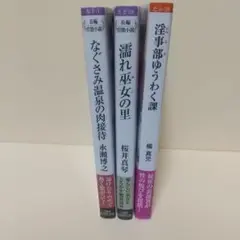 官能小説3冊 竹書房ラブロマンス文庫