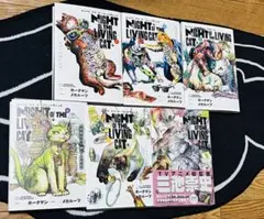 [裁断済] ニャイトオブザリビングキャット　1〜6巻セット