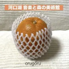 オレンジオルゴール（星に願いを）インテリア　河口湖オルゴールミュージアム