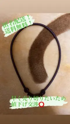ファイテン ネックレス