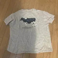 common gull products tシャツ