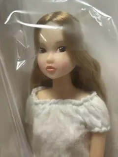 Today&#39;s momoko 1909　モモコドール CCS 21SP momoko long | PW-momoko | PetWORKs