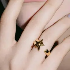 週末値下げ！新品未使用　LAPUIS　ラピュイ　Coil Star ring