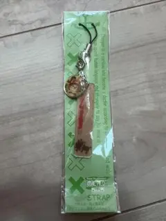 珍獣島のチョッパー王国　ストラップ　ワンピース