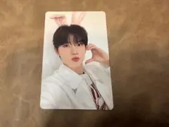 Item thumbnail for item 767a1865-e53b-450b-803b-4fccf05d3a5a