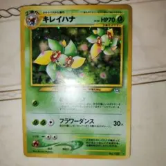Item thumbnail for item 648e4a0a-056a-4685-8533-30454e5f60eb