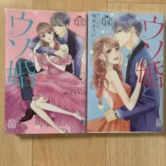 ウソ婚(13&14）