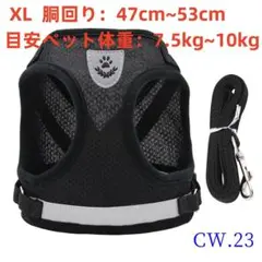 Item thumbnail for item a947fa95-6242-49bc-a522-30ba17188391
