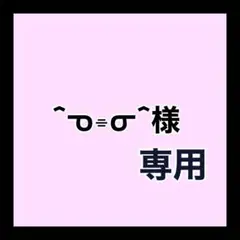 専用ページ