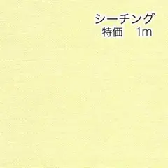 ラスト 特価 1m 無地 パステルイエロー シーチング