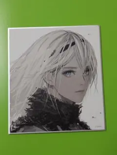 NieR ニーア展 消セナイ記憶 ミニ色紙コレクション 青年ニーア ニーア