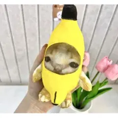 Item thumbnail for item 5af6ad36-b95b-4387-a3e6-140b649dc50d