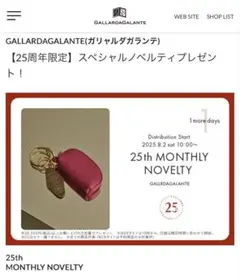 ガリャルダガランテ　ノベルティ　ミニポーチ　キーチャーム