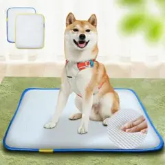 Item thumbnail for item 959e185b-0bdc-49d6-8cfe-a6f96a3c4a42