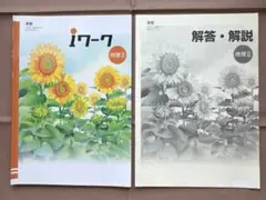 iワーク 地理 II 歴史 II ワークブックと解説書