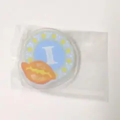 ヘタミュ GW アイスランド フラッグクリップ②