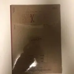 StrayKids アルバム 新品未開封 ペーパーケース フィリックス