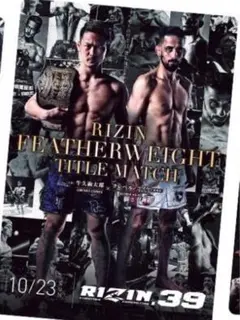 RIZIN ポテトスティック　ポスター　カード　コレクション