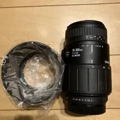 Item thumbnail for item d4ef0e97-3a36-4c01-a5df-20c05b339da7