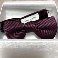 【美品】Amtteiliebe アンテリーベ　蝶ネクタイ ボルドー