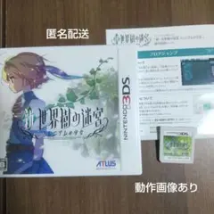 新・世界樹の迷宮 ミレニアムの少女