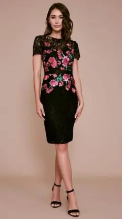 TADASHI SHOJI ワンピース 「2」9号程度