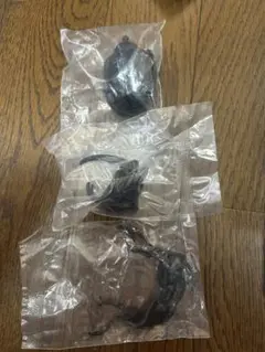 パンカブト(ショート)　いきもの大図鑑　かぶとむし09
