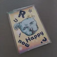 ポストカード／r u happy now?