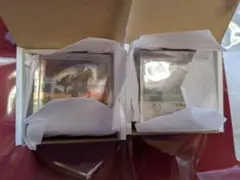 Item thumbnail for item 437085f5-e33b-4c85-b866-9fd8cb6c5254