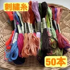 刺繍糸 まとめ売り ステッチ クロスステッチ タペストリー 50本セット