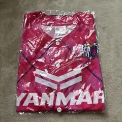 セレッソ大阪　ヤンマーレデース