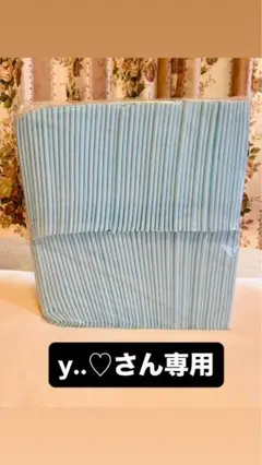 Item thumbnail for item 496e0c04-eb37-45b5-89ce-e09d05477db3