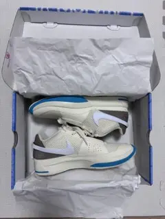NIKE JA 1 EP （26cm）