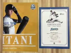 大谷翔平デビュー観戦証明書付き　記念クリアファイル 大谷翔平デビュー観戦証明書付き 記念クリアファイル