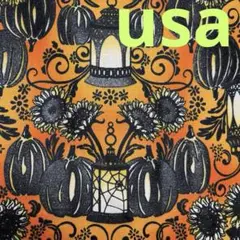 ハロウィン　パンプキン柄　usaコットン 廃版レア　　　　オレンジ