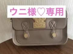 ディズニーシー❤️キャリーミーポシェット