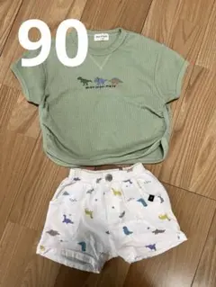夏服　恐竜セット　90
