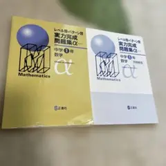 実力完成問題集α 中学1年 数学