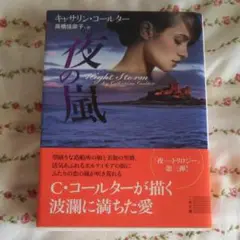夜の嵐