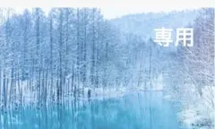 専用①
