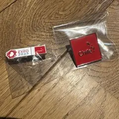 【非売品・限定】チリ館 ピンバッチ EXPO 2025 大阪・関西万博