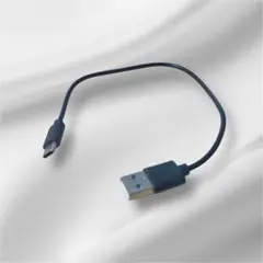 USB Type-C 黒　短め　約30㎝
