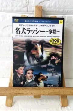 DVD　洋画映画　名犬ラッシー　～家路～