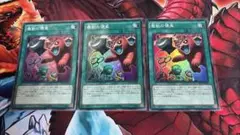 遊戯王 魔獣の懐柔　スーパー3枚セット　②