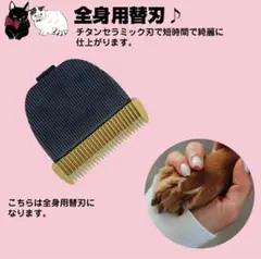 Item thumbnail for item 2b09aa67-696c-48aa-8d50-627224865231