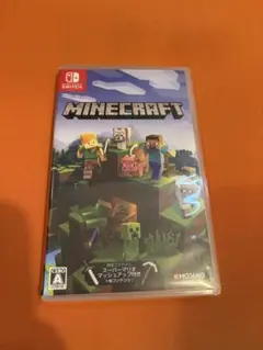 Minecraft Nintendo Switch版