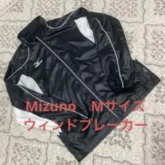 Item thumbnail for item b938c521-cdd2-4296-8b47-f8eb0a2378ea