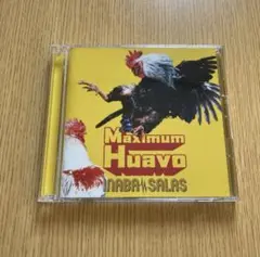 Maximum Huavo INABA SALAS 初回盤 稲葉浩志 b'z