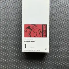 ポケモンカード　海外プレイマット　リザードン
